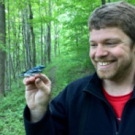 Off-target surprise with a Cerulean warbler